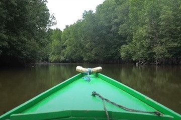 شاهد بالفيديو... صداقة تجمع صياد اندونيسي وتمساح منذ أكثر من 26 عاماً