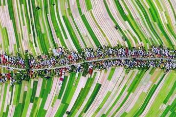 شاهد بالصور والفيديو... قرية بولندية يتجمع كل سكانها حول شارع واحد