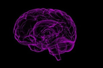 دراسة حديثة تؤكد أن هناك نشاطاً متزايداً في دماغ الإنسان قبل لحظات من وفاته